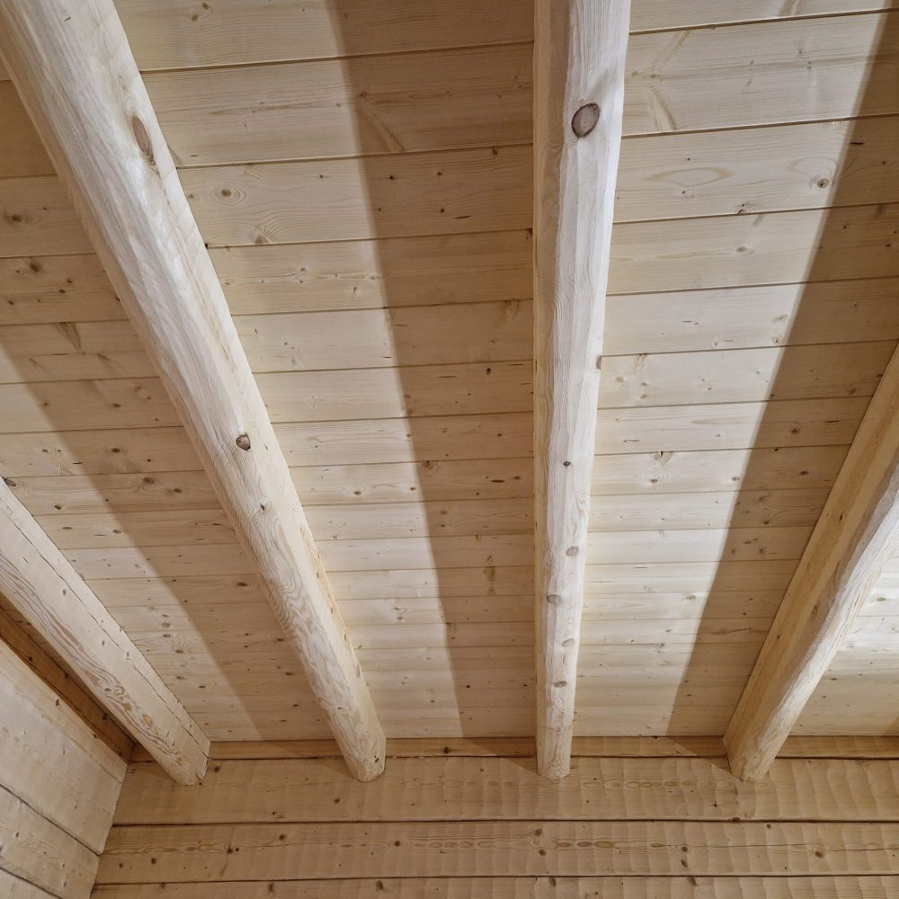 20231215_094953 (003)